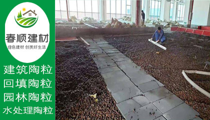 江西濾料廠家供應(yīng)水處理沉水生物陶粒 輕質(zhì)粘土陶?！?></a></div>
                    <div   id=